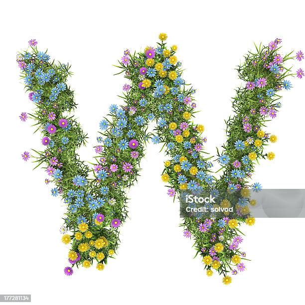 Letter W Flower Alphabet Isolated On White Stock Photo - Download Image Now - Alphabet, Bouquet, Bright