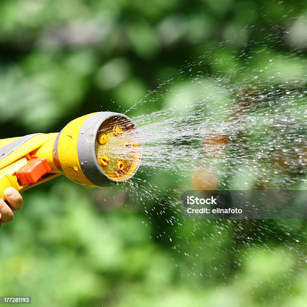 Watering Flowers Stock Photo - Download Image Now - Agricultural Sprinkler, Botany, Care