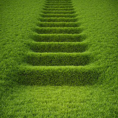 stairway covered with green grass.