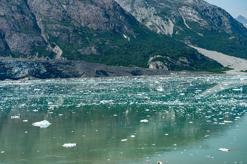 Glacier Bay National Park and Preserve, Alaska, USA.