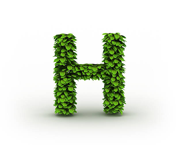 문자 h, 알파벳 녹색 잎 - letter h alphabet three dimensional shape green 뉴스 사진 이미지