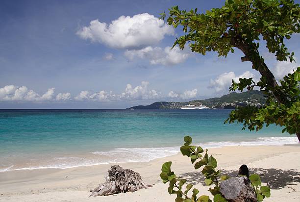 istock Cruising in paradise 177283898