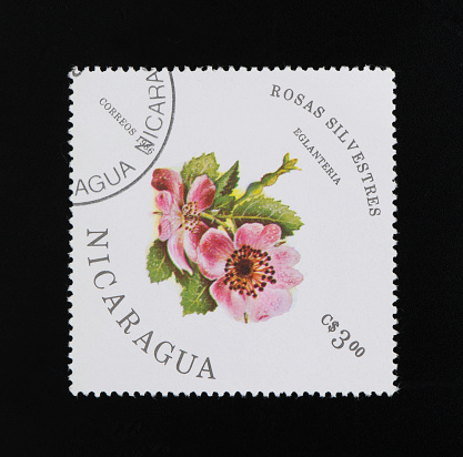 Nicaragua postage stamp on black background. Studio Shot