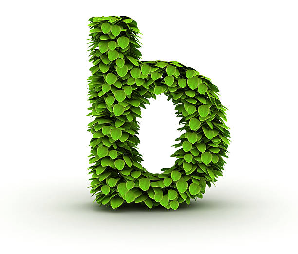 istock Letter  b, alphabet of green leaves 177284105