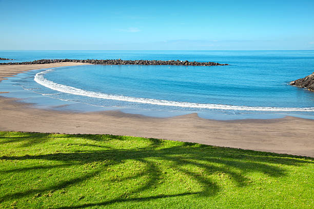 praia em playa de las américas, tenerife - playa de las américas imagens e fotografias de stock