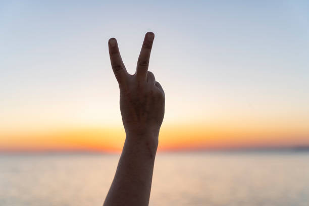istock The hand making the victory sign. 1772843573