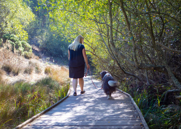 Free Stock Photo of Family and dog walking on path in green park ...