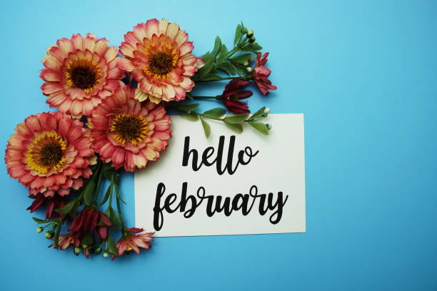 istock Hello February typography text with daisy flowers on blue background 1772847981