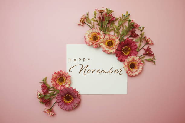 istock Happy November day typography text with flowers on pink background 1772851187