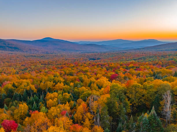 istock landscape of autumn mountain forest and mountain range in mist 1772869043