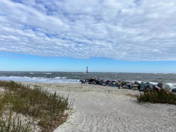istock Folly Beach, South Carolina 1772869096