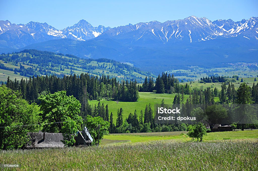 Tatra-spring landscape Spring Landscape. The Tatry National Park in the spring. An ideal place for leisure and nature photography. Sunny day. Agricultural Field Stock Photo