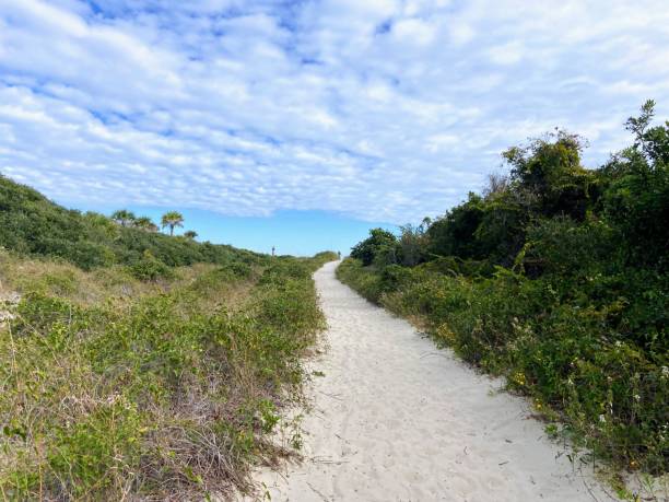 istock Folly Beach, South Carolina 1772869632