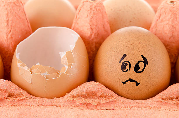 istock tray of chicken eggs 177287089