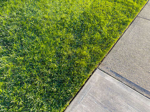 Looking down on a concrete sidewalk and fresh grass