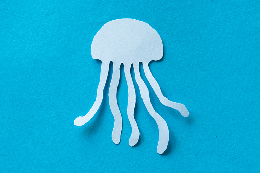 jelly fish paper cut isolated on blue