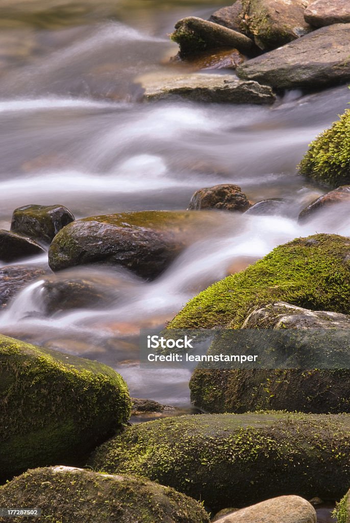 Mossy Rocks en una corriente - Foto de stock de Agua libre de derechos
