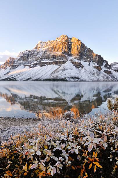 istock Bow Lake sunrise, Banff National Park 177288394