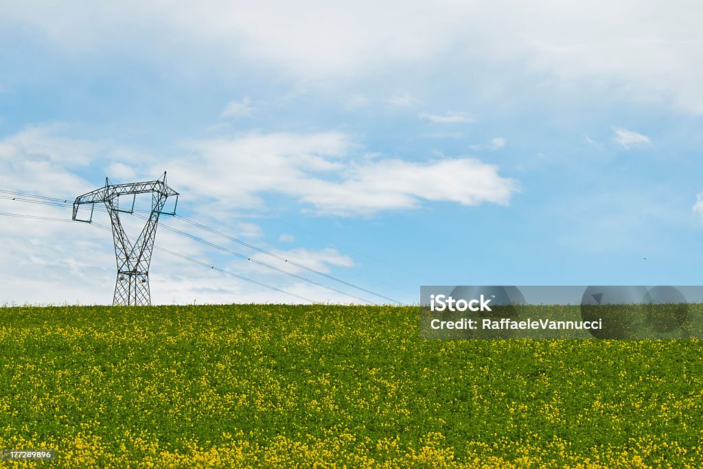 "Contrasti armoniosi" - Lizenzfrei Blume Stock-Foto