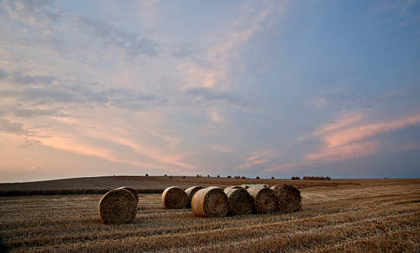 istock Beautiful golden hour hay bales sunset landscape 177290247