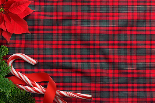 A poinsettia, candy canes, and a bough from a fir tree create a border on a red and green plaid fabric.