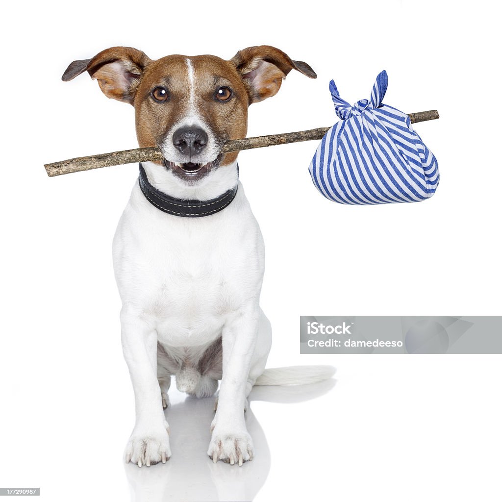 Perro con una barra - Foto de stock de Bolsa - Objeto fabricado libre de derechos