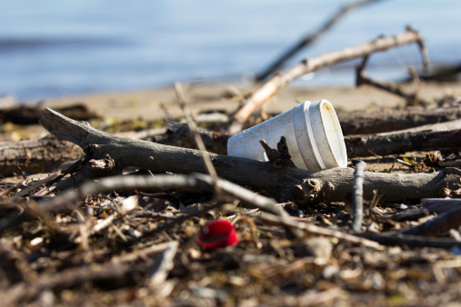 Garbage has been dropped carelessly along a Lake Michigan beach.