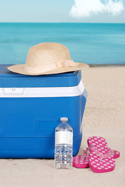 istock cooler woman hat and sandals on the beach 177292063