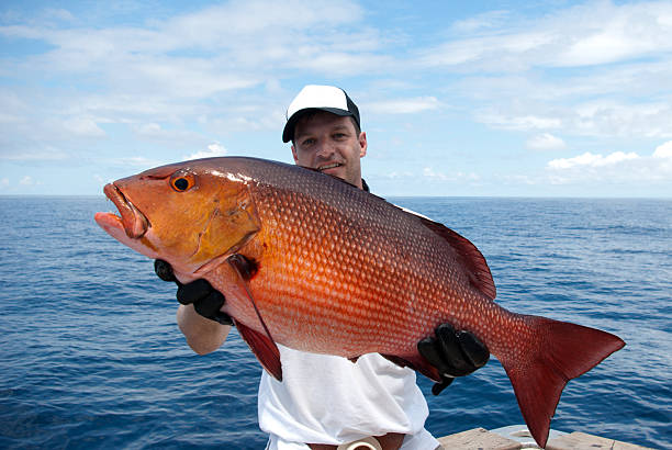 istock Man near the lake holding a large red snapper 177292963