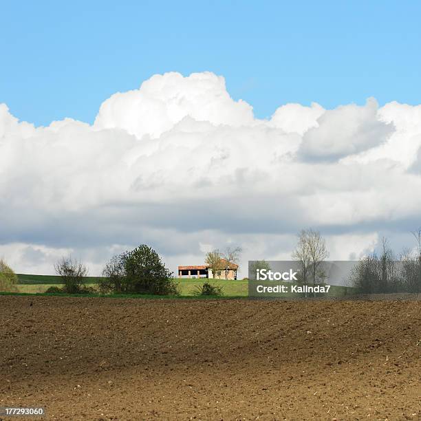 Scena Rurale - Fotografie stock e altre immagini di Agricoltura - Agricoltura, Albero, Ambientazione esterna