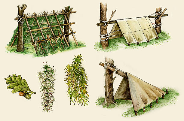 생존 대피처 - displaced persons camp illustrations stock illustrations