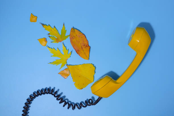 istock autumn yellow leaves 1772935809