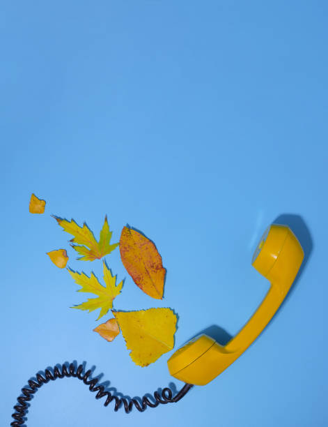 istock autumn yellow leaves 1772935815