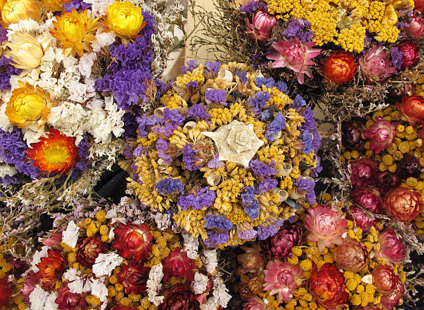 istock Colorful dried flowers 177293726