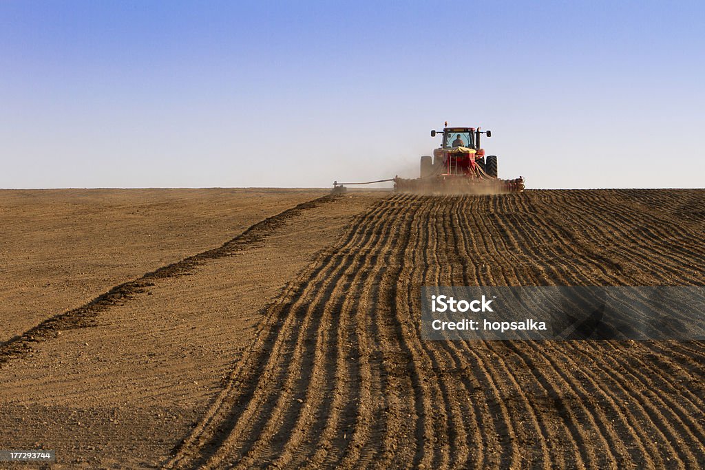 Agricultura tractor sembrar las semillas y relaciones sean Campo - Foto de stock de Tractor libre de derechos