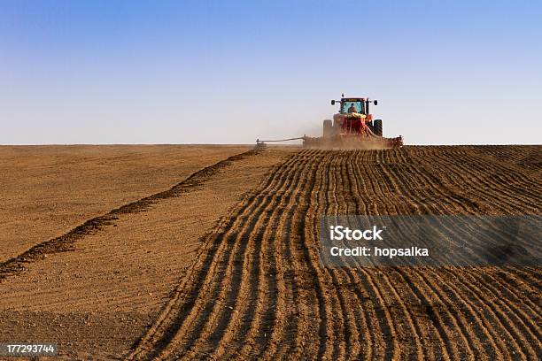 Agricultura Tractor Sembrar Las Semillas Y Relaciones Sean Campo Foto de stock y más banco de imágenes de Tractor