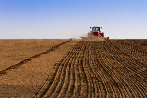 Agriculture tractor sowing seeds and cultivating field in late afternoon