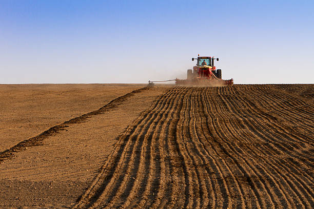 Agriculture tractor sowing seeds and cultivating field stock photo