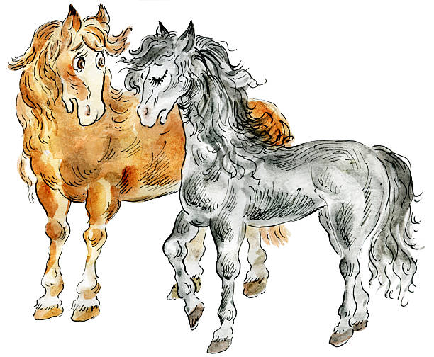 29 Drawing Of The Horse Breeding Illustrations & Clip Art - iStock