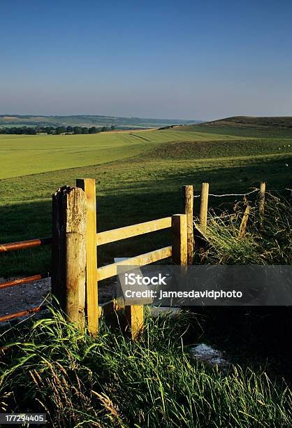 Gate Stock Photo - Download Image Now - Accessibility, Agricultural Field, Agriculture