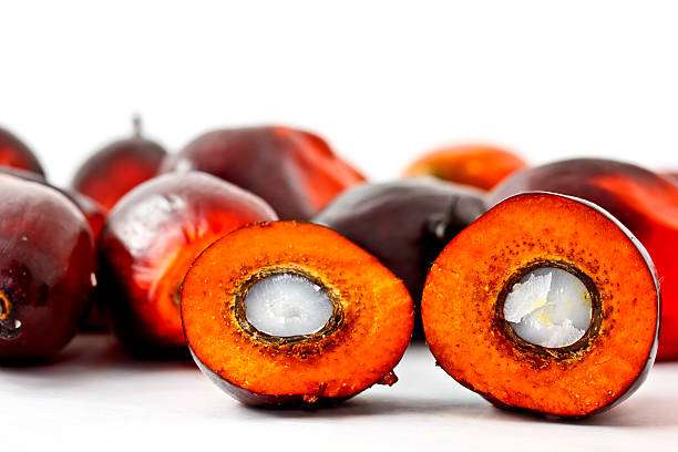 istock A cut open oil palm fruit in bright orange with white center 177295279