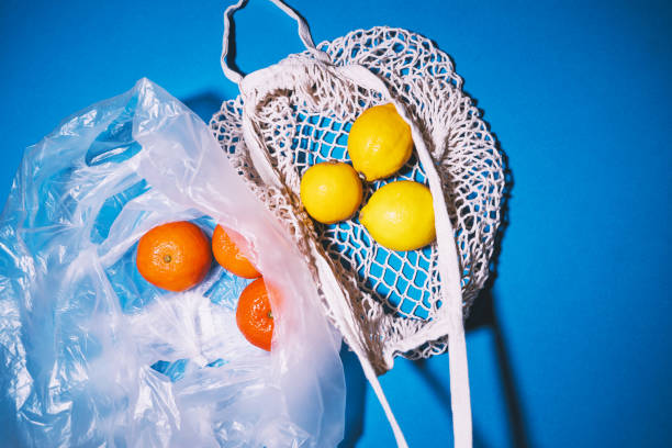 istock Mesh bag vs plastic bag. Reusable shopping bag instead of plastic bag. Concept about plastic pollution and choice. Flat lay. 1772955736