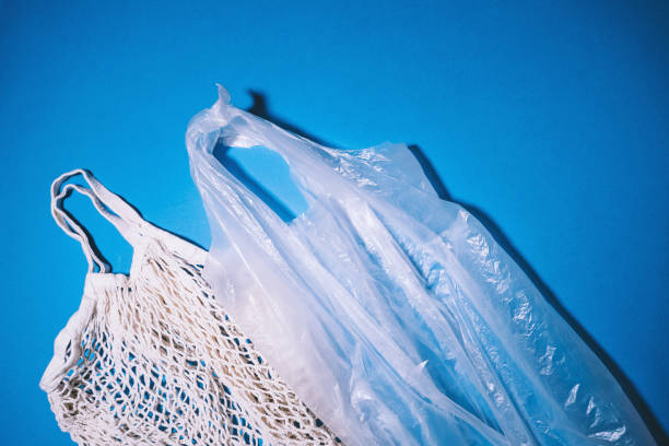 istock Mesh bag vs plastic bag. Reusable shopping bag instead of plastic bag. Concept about plastic pollution and choice. Flat lay. 1772956272