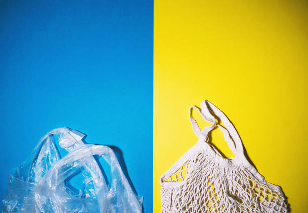 istock Mesh bag vs plastic bag. Reusable shopping bag instead of plastic bag. Concept about plastic pollution and choice. Flat lay. 1772956836