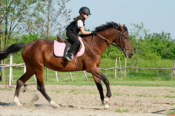 istock girl riding a horse 177295731