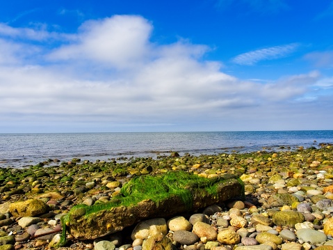 Low tide along the shore of Cape Cod Bay with sunny skies. Pebbles and seaweed covered rocks along the tidal zone of this Wellfleet Massachusetts Cape Cod Bay beach.