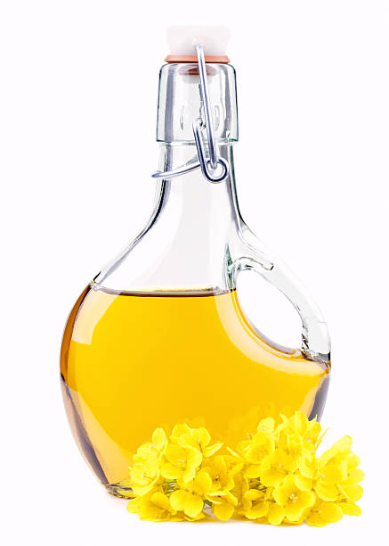 istock Extra virgin  oil in a bottle with rapeseed flowers 177295921