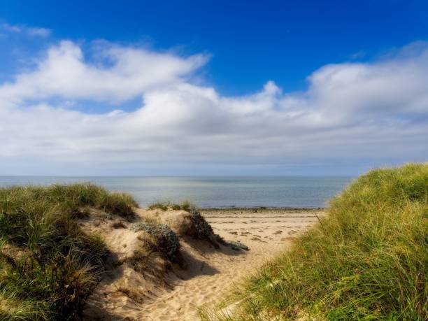istock Footpath through the sand dunes to Cape Cod bay near Wellfleet 1772959503