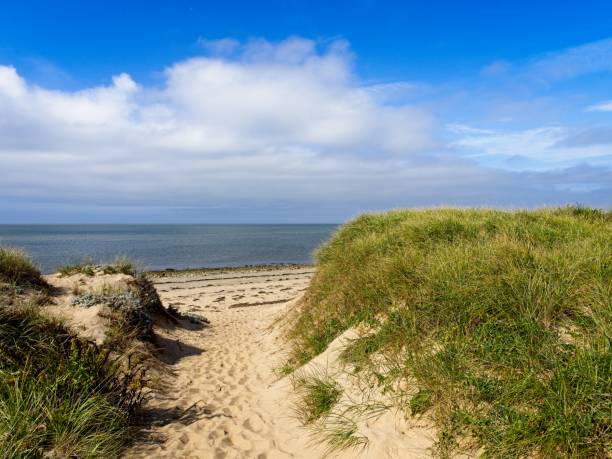 istock Footpath through the sand dunes to Cape Cod bay near Wellfleet 1772959525