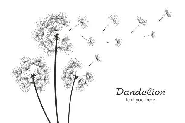 Vector illustration of Three dandelions blowing in the wind